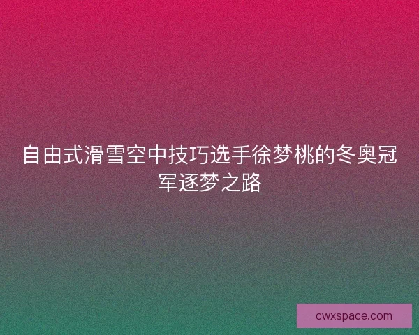 自由式滑雪空中技巧选手徐梦桃的冬奥冠军逐梦之路 自由式滑雪空中技巧选手徐梦桃的冬奥冠军逐梦之路