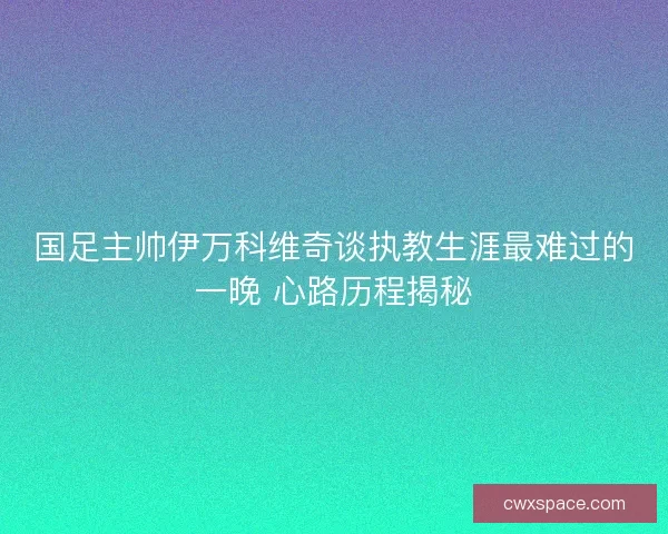 国足主帅伊万科维奇谈执教生涯最难过的一晚 心路历程揭秘