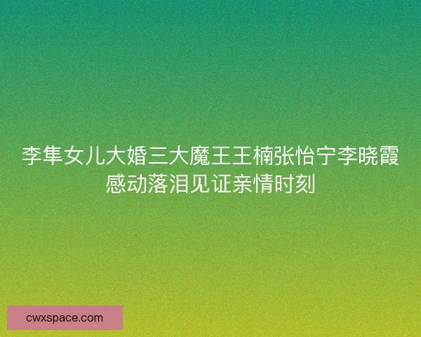 李隼女儿大婚三大魔王王楠张怡宁李晓霞感动落泪见证亲情时刻