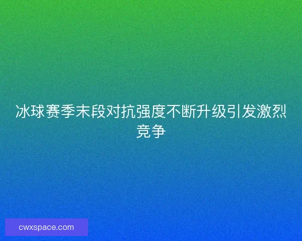 冰球赛季末段对抗强度不断升级引发激烈竞争